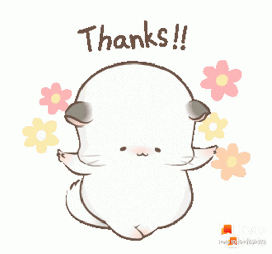 Thank You Cute Cat Bowing Down GIF