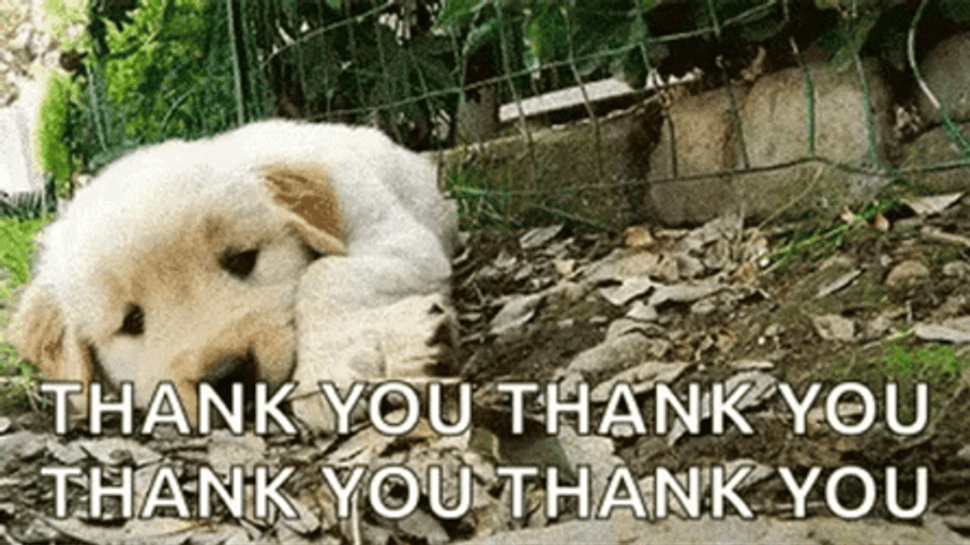 Thank You Cute Crawling In Dirt Puppy GIF