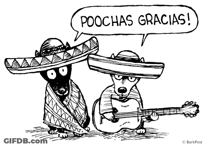 Thank You Cute Mexican Pooches Illustration GIF
