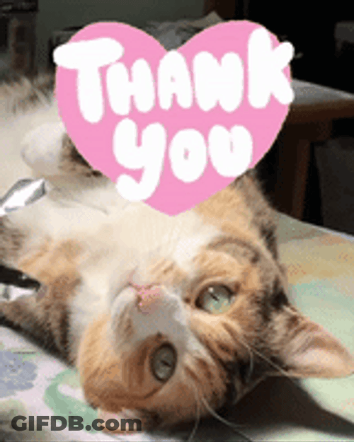 Thank You Cute Upside Down Cat GIF