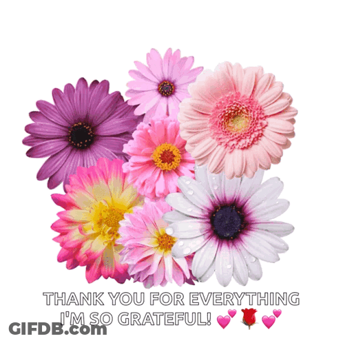 Thank You Flowers Grateful GIF