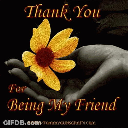 Thank You For Being A Friend GIF