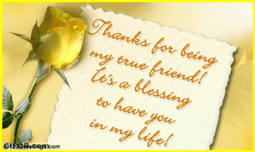 Thank You For Being A Friend GIF