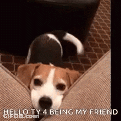 Thank You For Being A Friend Dog Is Happy GIF