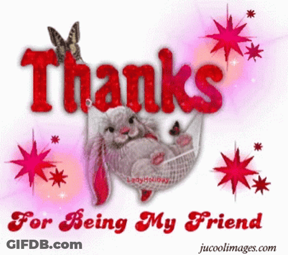 Thank You For Being A Friend GIF