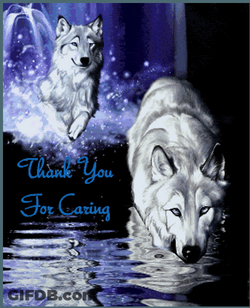 Thank You For Caring Wolves Visual Art GIF