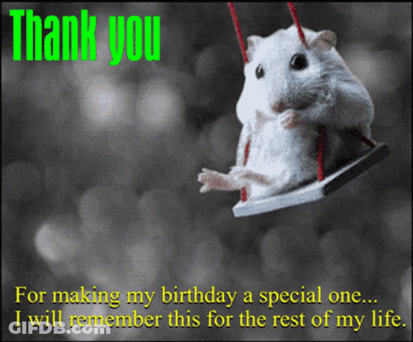 Thank You For The Birthday Wishes Cute Mouse GIF
