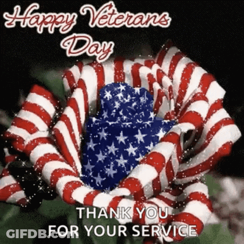 Thank You For Your Service Happy Veterans Day GIF