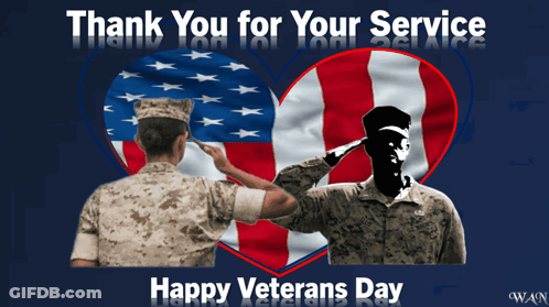 Thank You For Your Service Veterans Day GIF