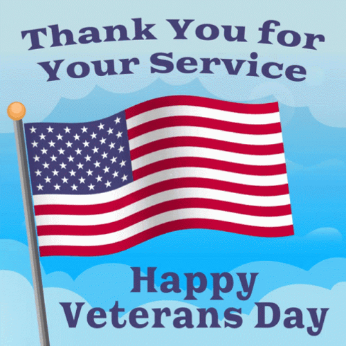Thank You For Your Service Veterans Day US Flag GIF