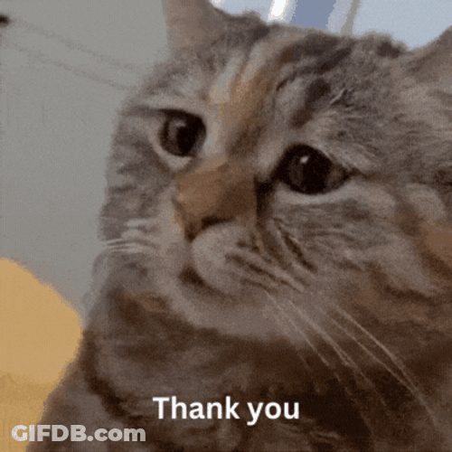 Thank You Friend Cat Emotional GIF