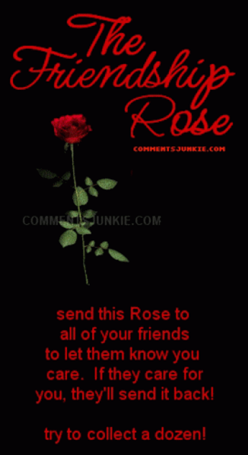 Thank You Friend Friendship Rose GIF