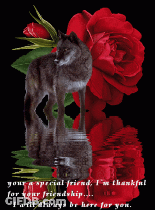 Thank You Friend Roses And Wolf GIF
