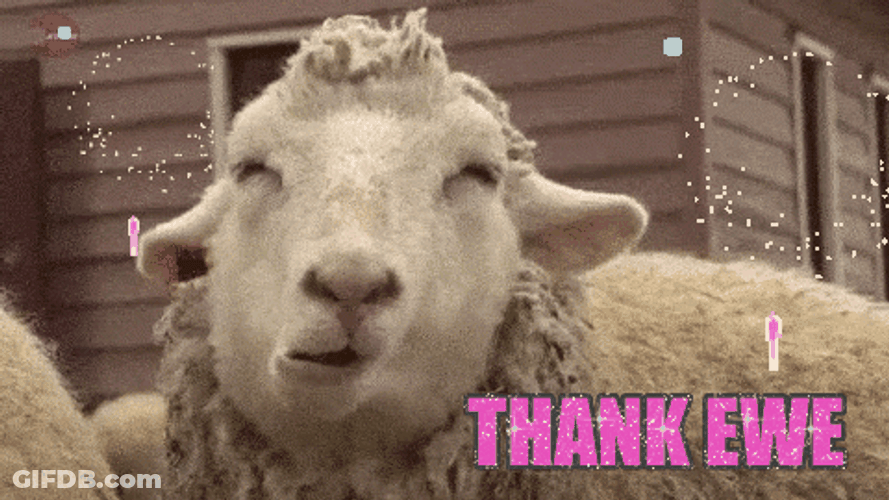 Thank You Funny Goat Chewing GIF