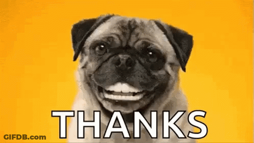 Thank You Funny Pug Teeth Smile GIF