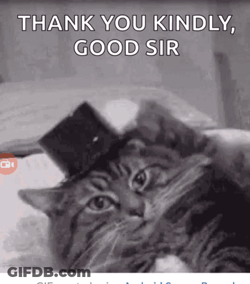 Thank You Kindly Good Sir GIF