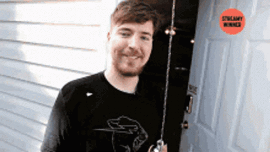Thank You Mrbeast GIF