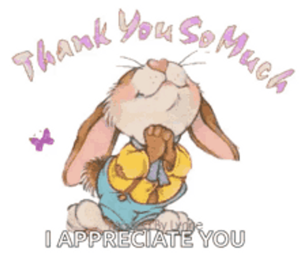 Thank You So Much I Appreciate You GIF