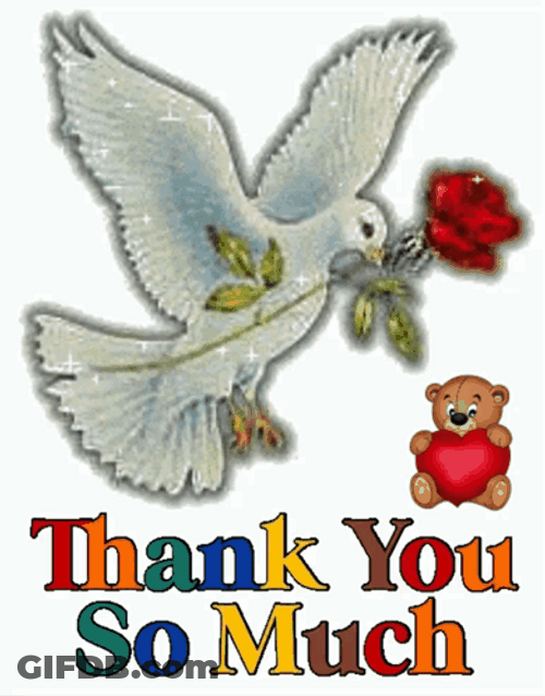 Thank You Very Much Dove Rose GIF