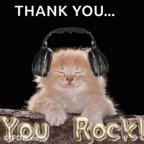 Thank You You Rock Meme GIF