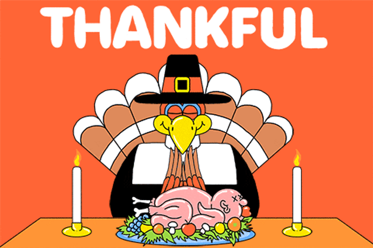 Thankful Cartoon Turkey Thanksgiving Meme GIF