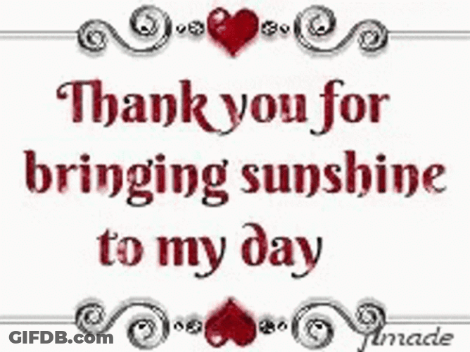 Thankful For Bringing Sunshine To My Day GIF