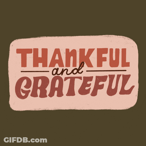 Thankful For You Shimmering Text GIF
