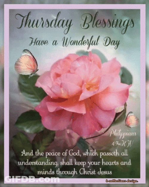 Thankful Thursday Blessings Pink Flower GIF