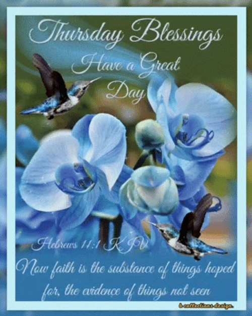 Thankful Thursday Blue Flowers GIF