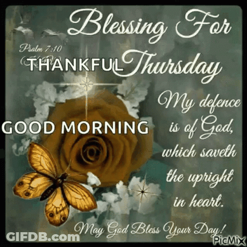 Thankful Thursday Brown Rose GIF