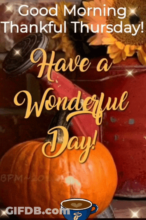 Thankful Thursday GIF