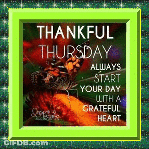 Thankful Thursday GIF