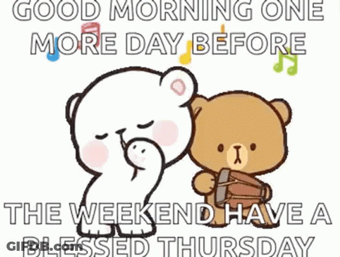 Thankful Thursday Happy Bears GIF