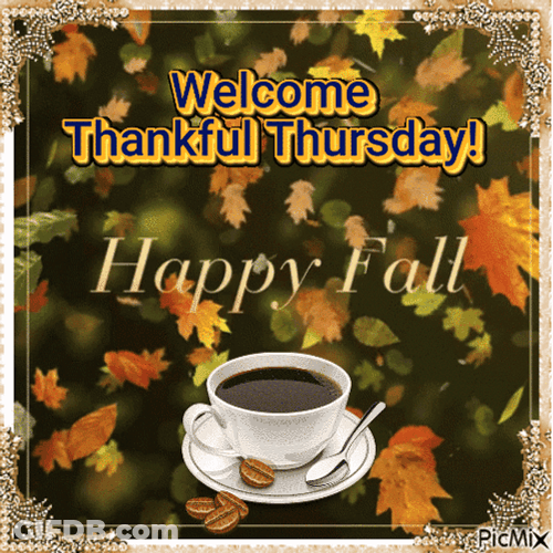 Thankful Thursday Happy Fall GIF