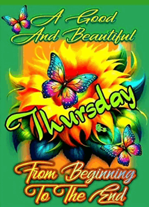 Thankful Thursday Happy Thursday Meme GIF