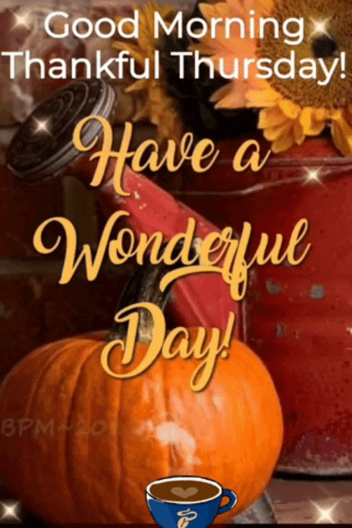Thankful Thursday Pumpkin Goodness GIF