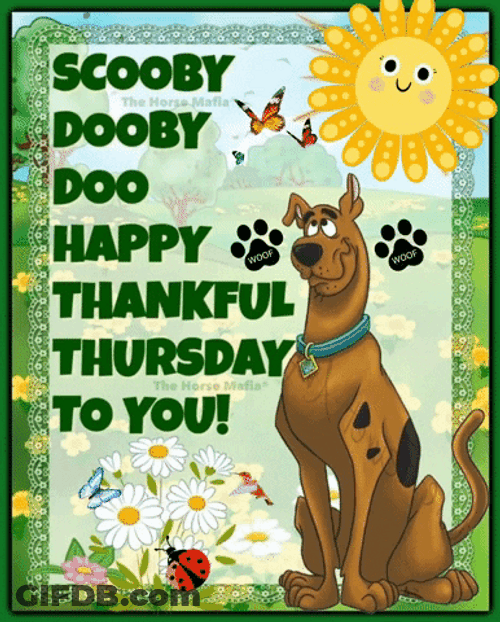 Thankful Thursday Scooby Doo GIF