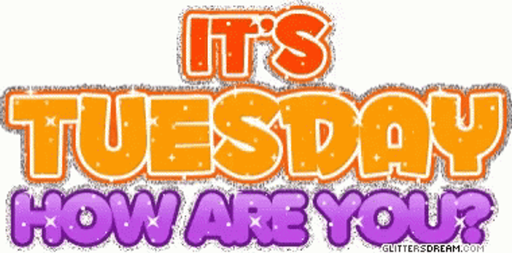 Thankful Tuesday How Are You GIF
