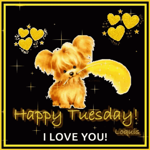 Thankful Tuesday I Love You GIF