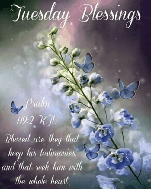 Thankful Tuesday With Daily Verse GIF