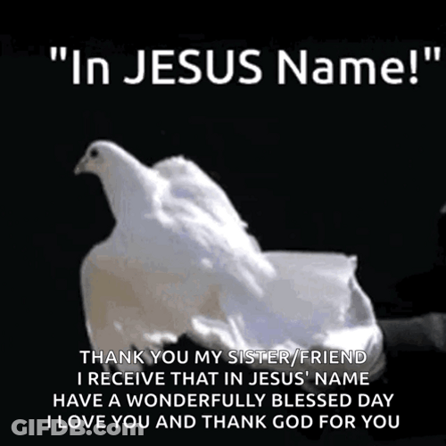Thanks Girl Releasing White Dove GIF