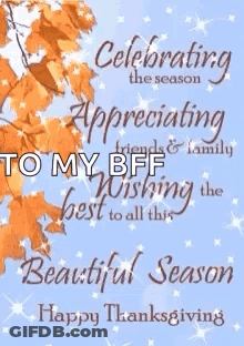 Thanksgiving Card Celebrating Season Appreciating Friends Family GIF