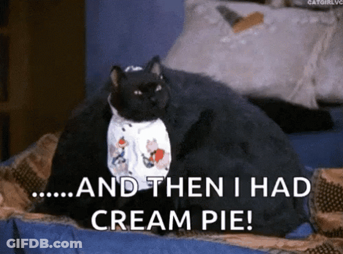 Thanksgiving Cat And The I Had Cream Pie GIF