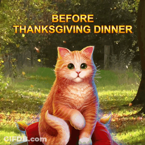 Thanksgiving Cat Before After Thanksgiving Dinner GIF