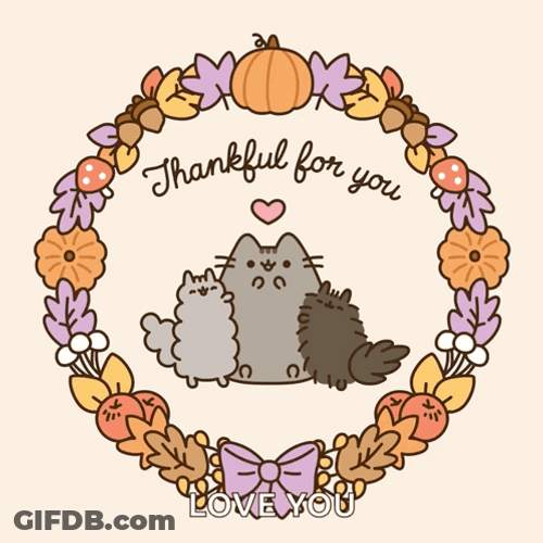 Thanksgiving Cat Love You GIF