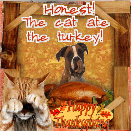 Thanksgiving Dinner Eaten By Dog Fun Clip GIF