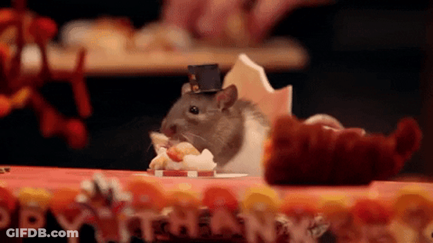 Thanksgiving Dinner Matilda Enjoying Dinner Feast GIF