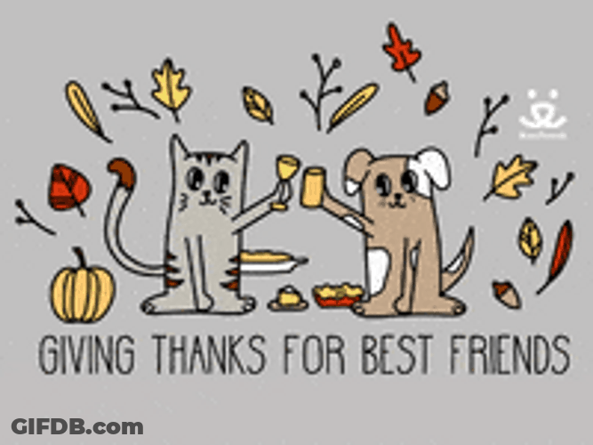 Thanksgiving Dog And Cat Digital Text Design GIF