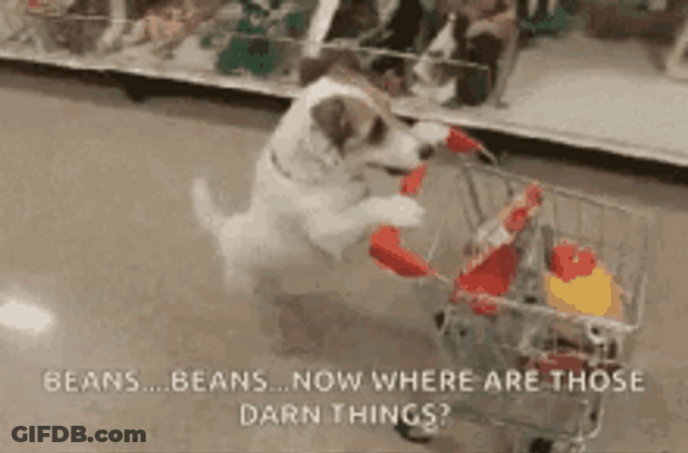 Thanksgiving Dog Pushing Grocery Cart GIF
