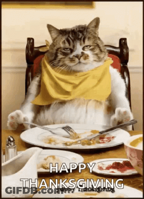 Thanksgiving Funny Asleep At Table Press GIF